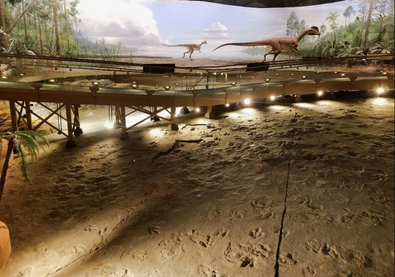 Dinosaur State Park, United States